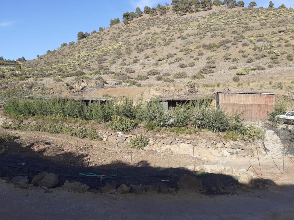 Casa Rural Los Santillos El Pinar  Buitenkant foto